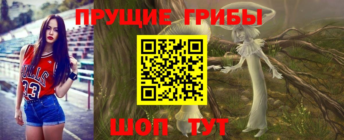 Псилоцибиновые грибы прущие грибы  Вход с VPN  Чайковский 